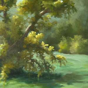 Afternoon Along the Mulberry River by Julie Gowing Hayes