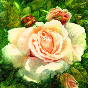 Blooming Beauty by Julie Gowing Hayes