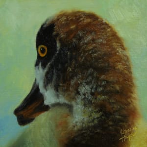 An Eye on the Past, Egyptian Goose by Julie Gowing Hayes