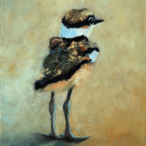 Baby Killdeer, a Momentary Pause by Julie Gowing Hayes