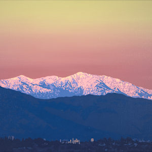 You've Seen the Future by Lindsey Warren