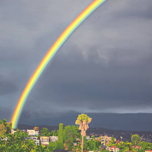 Or Was it Just a Dream by Lindsey Warren