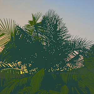 Sea View Bottle Palm by Lindsey Warren