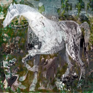 Ghost Horse by Alex Fischer 