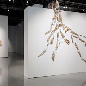 Hidden Lands by Debra Scacco