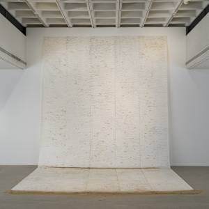 Shifting Baseline by Debra Scacco, Image 1.