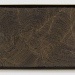 Let me live I by Debra Scacco