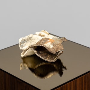 Hawk by Debra Scacco