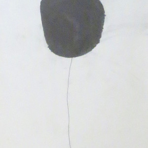 Balloon by Gunther Shutzenhofer