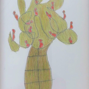 Cactus by Franz Kernbeis