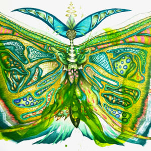 Emerald Moth by Kaye Freeman