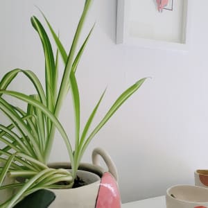 The Meaning of Within by Crissy Arseneau  Image: in situ
