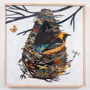Oriole Masque by Dolan Geiman