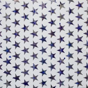 Cascading Stars by Sean Christopher Ward
