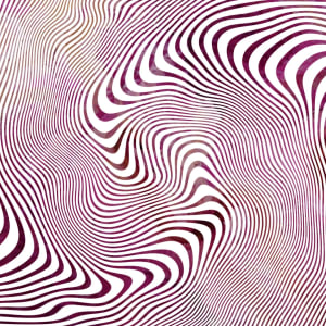 Down the Rabbit Hole
