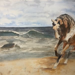 Corolla Horses of the Outer Banks