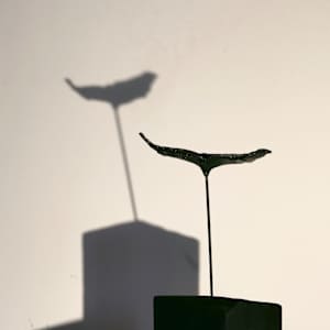 Meditations on the Icarus Effect II by Thomas Bucich 
