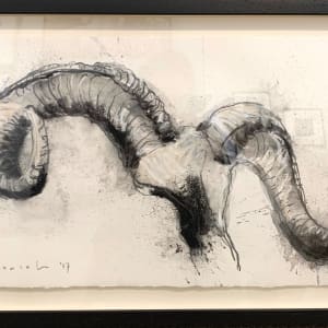 Ram Horns II by Thomas Bucich