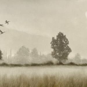 Flight of The Ibis by Peter Hickey