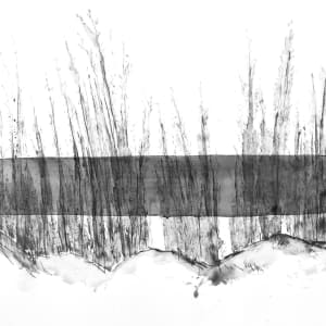 Denied Landscape by Thomas Bucich
