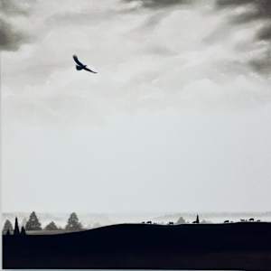 The Wedge Tail by Peter Hickey