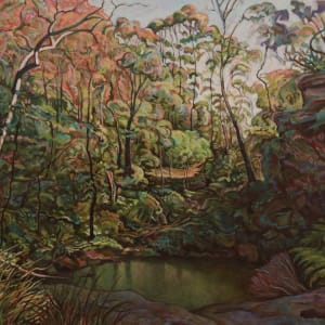 Light Into The Valley (Nattai River, Southern Highlands) by Justin Pearson