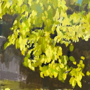 Sundrenched Tree & Shadowed Fence by Katherine Rooney
