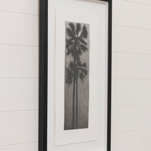 Night Palms ed 3/10 unframed by Peter Hickey  Image: Sample framing only