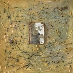 Preservation by Amanda Jolley