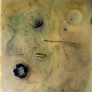 Annulled Prayer by Amanda Jolley