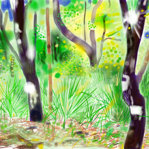 Trees Hunting Island by Brian Frink, Image 1.