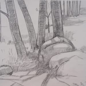 Trees and Rocks by Brian Frink, Image 1.