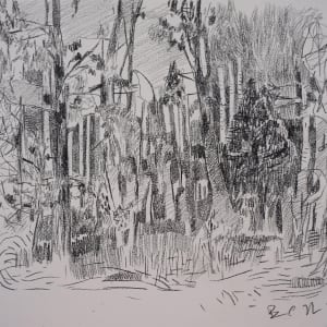 Trees and Brush by Brian Frink, Image 2.