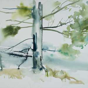 White Pine by Lake by Brian Frink, Image 1.