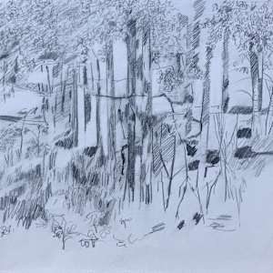 Woods by Brian Frink, Image 1.