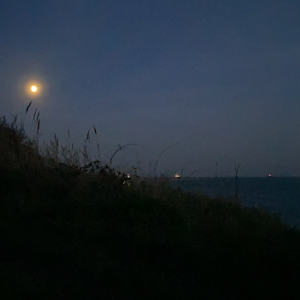 SWEET FRUIT MOON by Frances Hatch 