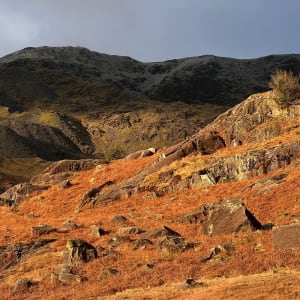 18-DRY STONE WALL by Frances Hatch 