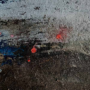 MUTE MOON. Lodmoor by Frances Hatch 