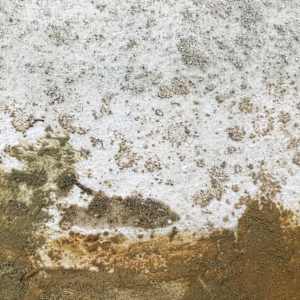 MATERIAL PRACTICE = SPIRITUAL PRACTICE  Frances Hatch by Frances Hatch  Image: participation precipitation
