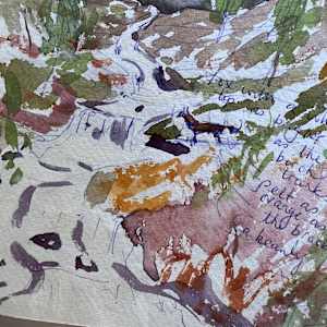 FOX WITH WHITE LADY, Coniston Water, Cumbria. by Frances Hatch 