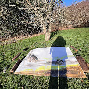 LICHEN MOON IN THE  OLD HAWTHORN TREE by Frances Hatch 