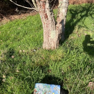 LICHEN MOON WITH THE HAWTHORN TREE by Frances Hatch 