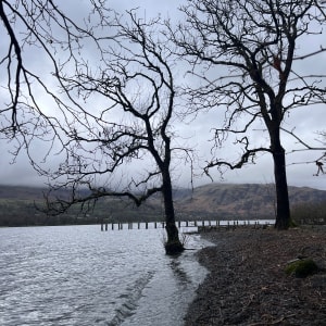 31. Two Ash Trees by Brantwood Jetty. March 2024 by Frances Hatch 