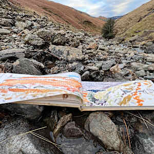 COPPERMINES VALLEY FALLS, Coniston Water, Cumbria. by Frances Hatch 