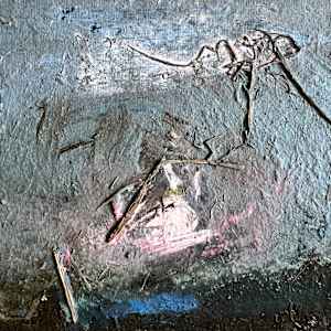 MUTE MOON. Lodmoor by Frances Hatch 