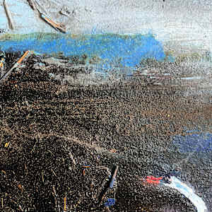 MUTE MOON. Lodmoor by Frances Hatch 