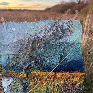MURMURATION  AIR by Frances Hatch 