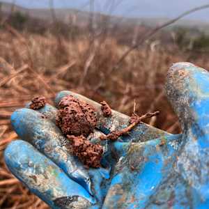 LEY HILL WINTER. Webbers Post, Dunkery Beacon. by Frances Hatch 