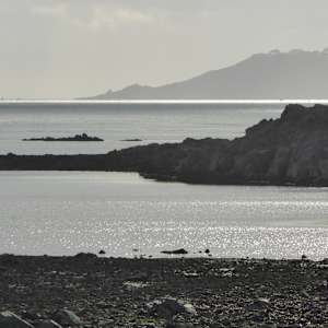 RISING TIDE.  Houmet Paradis, Guernsey by Frances Hatch 