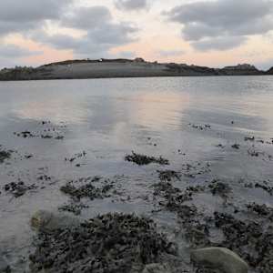 RISING TIDE.  Houmet Paradis, Guernsey by Frances Hatch 
